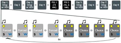 The Influence of Stress on Decision-Making: Effects of CRF and Dopamine Antagonism in the Nucleus Accumbens